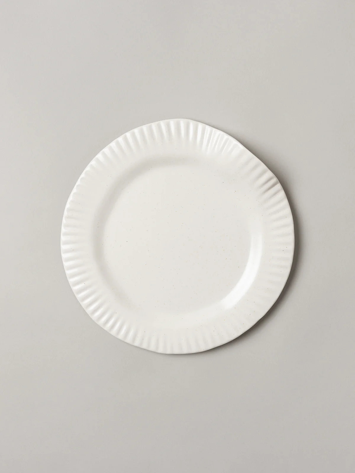 Porcelain Paper Dinner Plate (Set of 2)