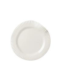 Porcelain Paper Dinner Plate (Set of 2)