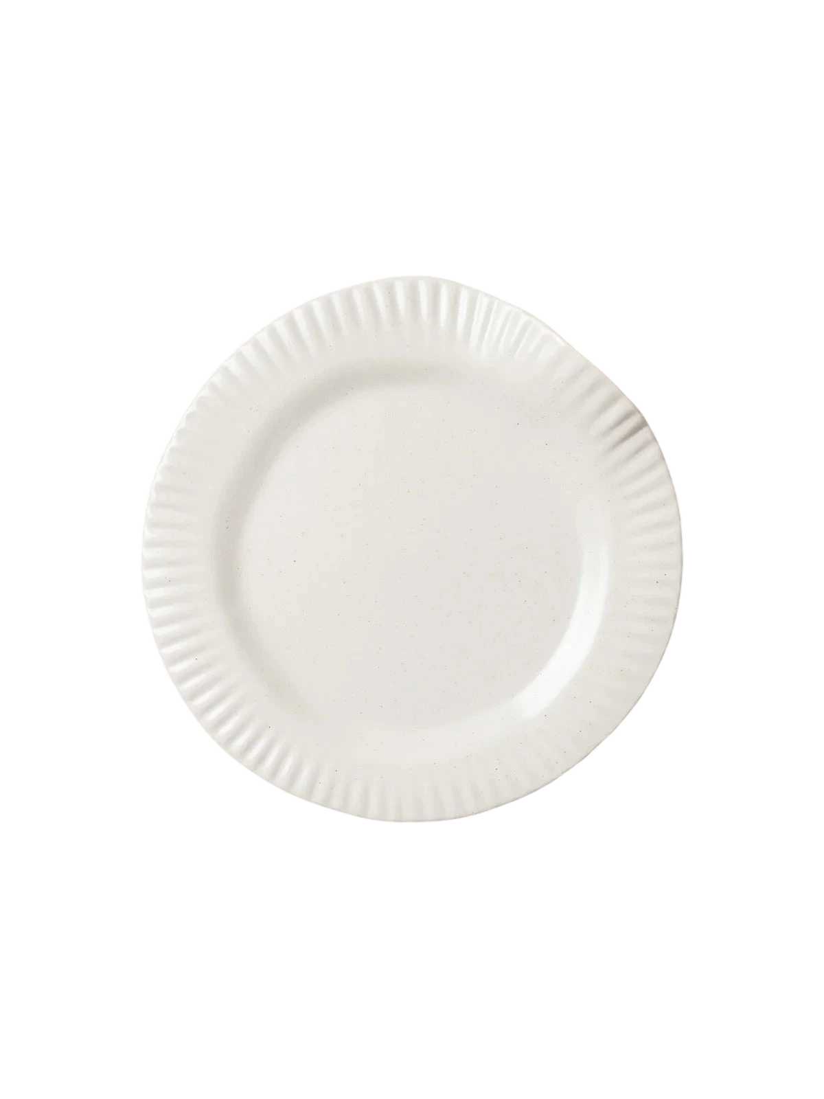 Porcelain Paper Dinner Plate (Set of 2)