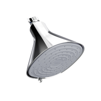 Filtered Showerhead