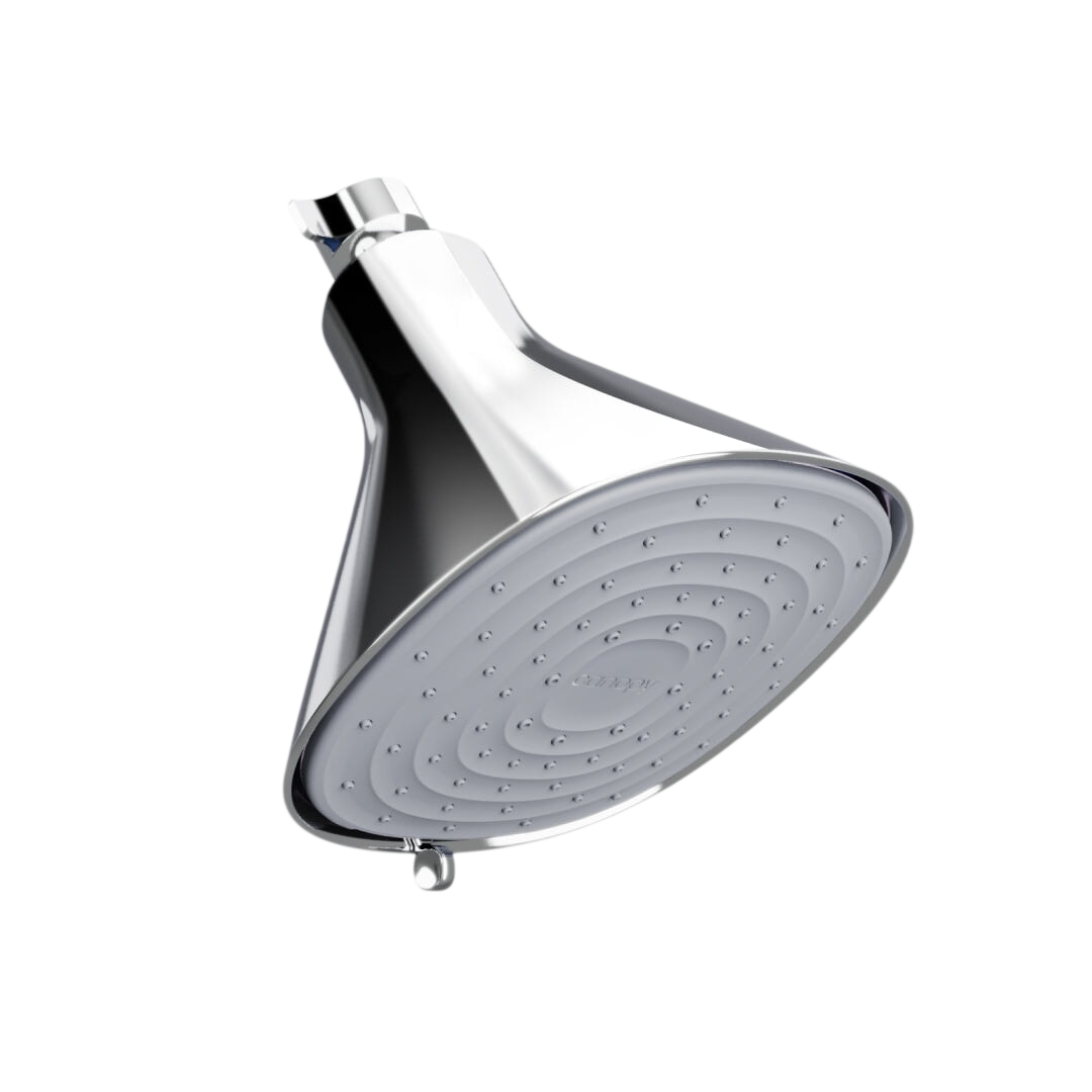 Filtered Showerhead