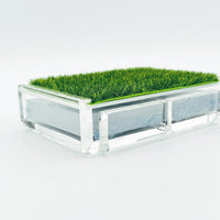Playing Card Set with Putting Green Grass