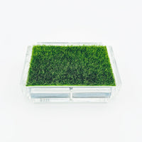 Playing Card Set with Putting Green Grass