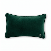 Pumpkin To Talk About Needlepoint Pillow