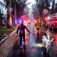 The Pupster - Dog Emergency Kit