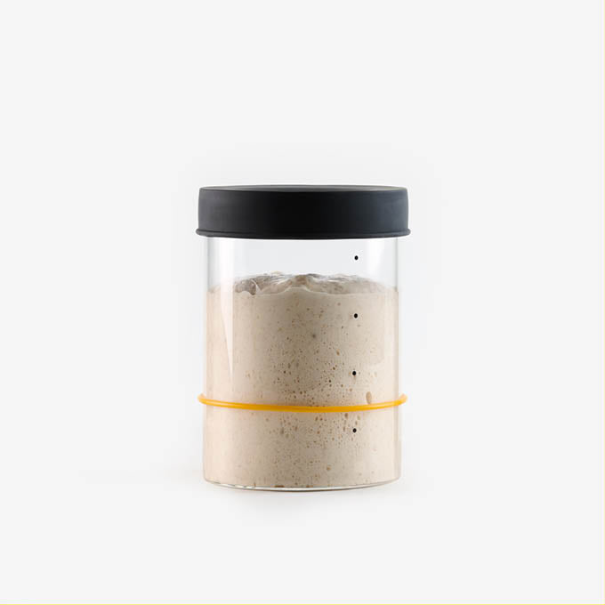 Sourhouse Starter Jars (Pint or Quart) (Fulfilled by Sourhouse)