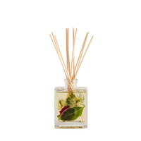 Accent Botanical Reed Diffuser - Winterberry Frost