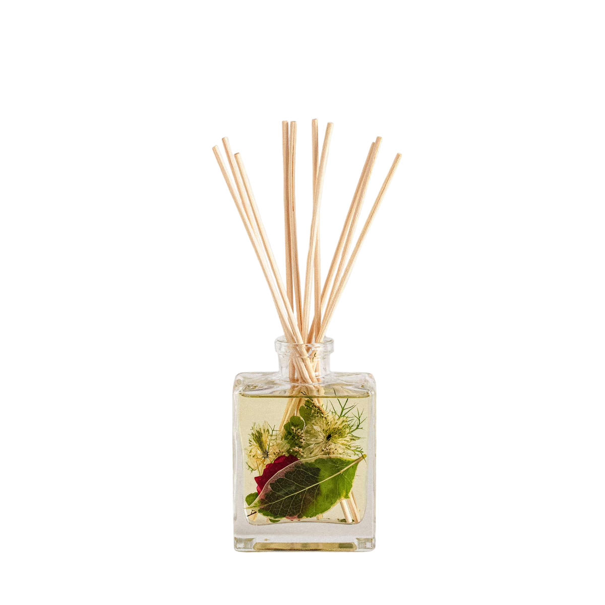 Accent Botanical Reed Diffuser - Winterberry Frost
