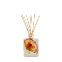 Accent Botanical Reed Diffuser - Sugared Citrus