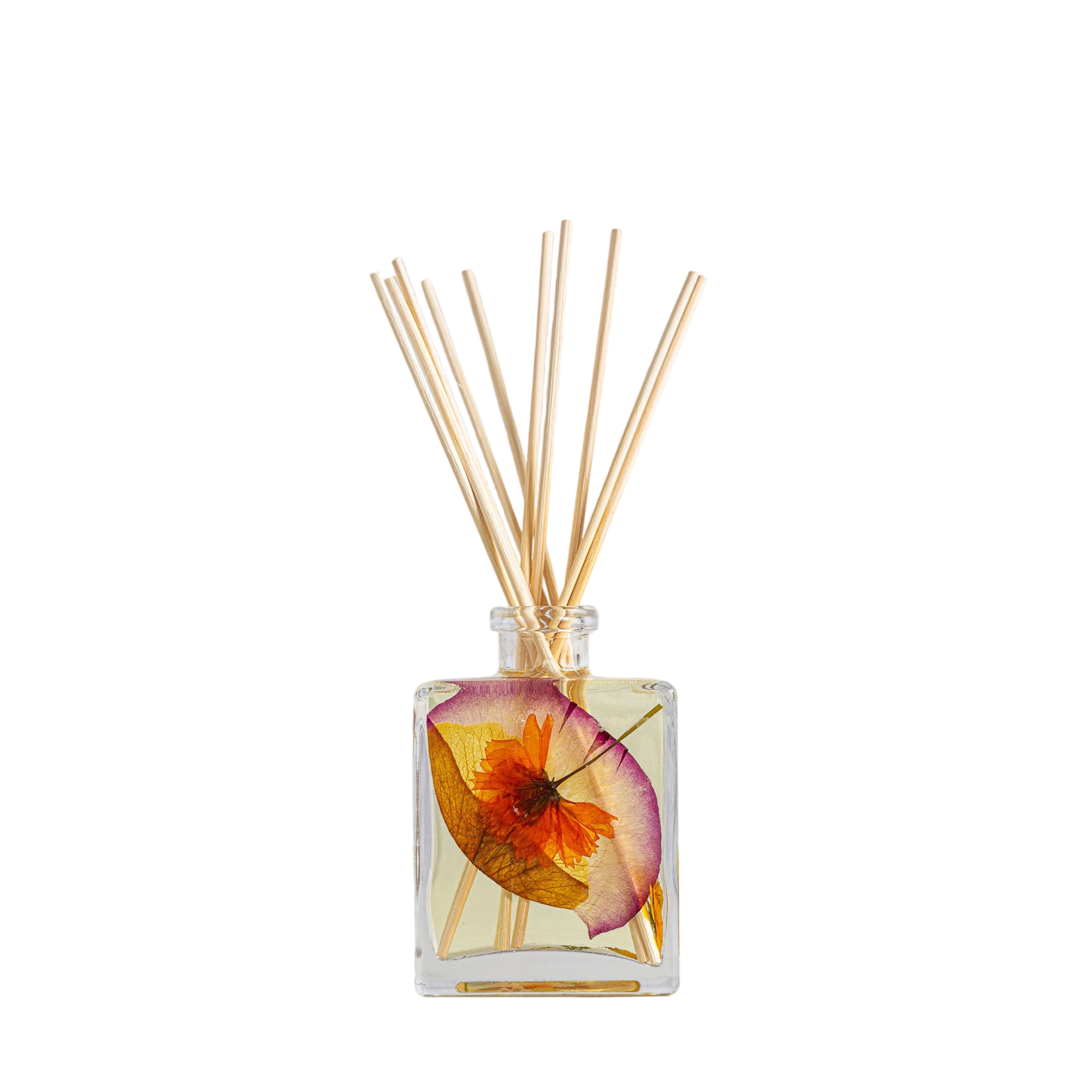 Accent Botanical Reed Diffuser - Sugared Citrus