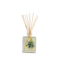 Accent Botanical Reed Diffuser - Sea Salt Mist