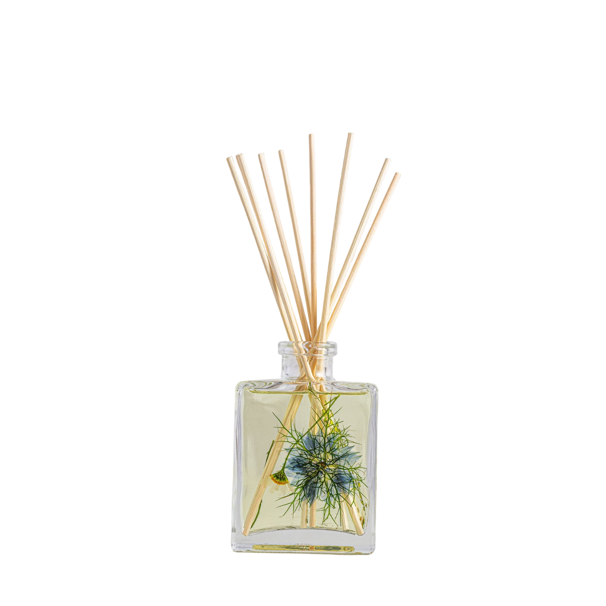 Accent Botanical Reed Diffuser - Sea Salt Mist
