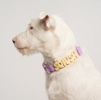 Original Waterproof Dog Collar
