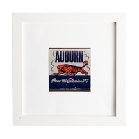 Auburn