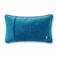 Straight Needlepoint Pillow