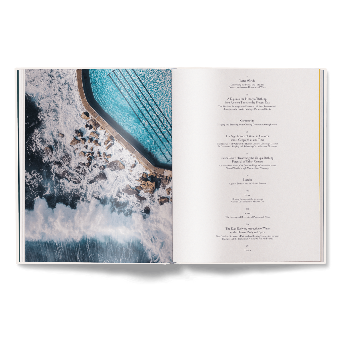 The Nature of Swimming (Updated Edition)