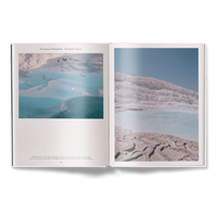 The Nature of Swimming (Updated Edition)
