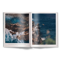The Nature of Swimming (Updated Edition)