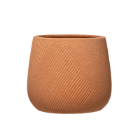 Sadie Planter