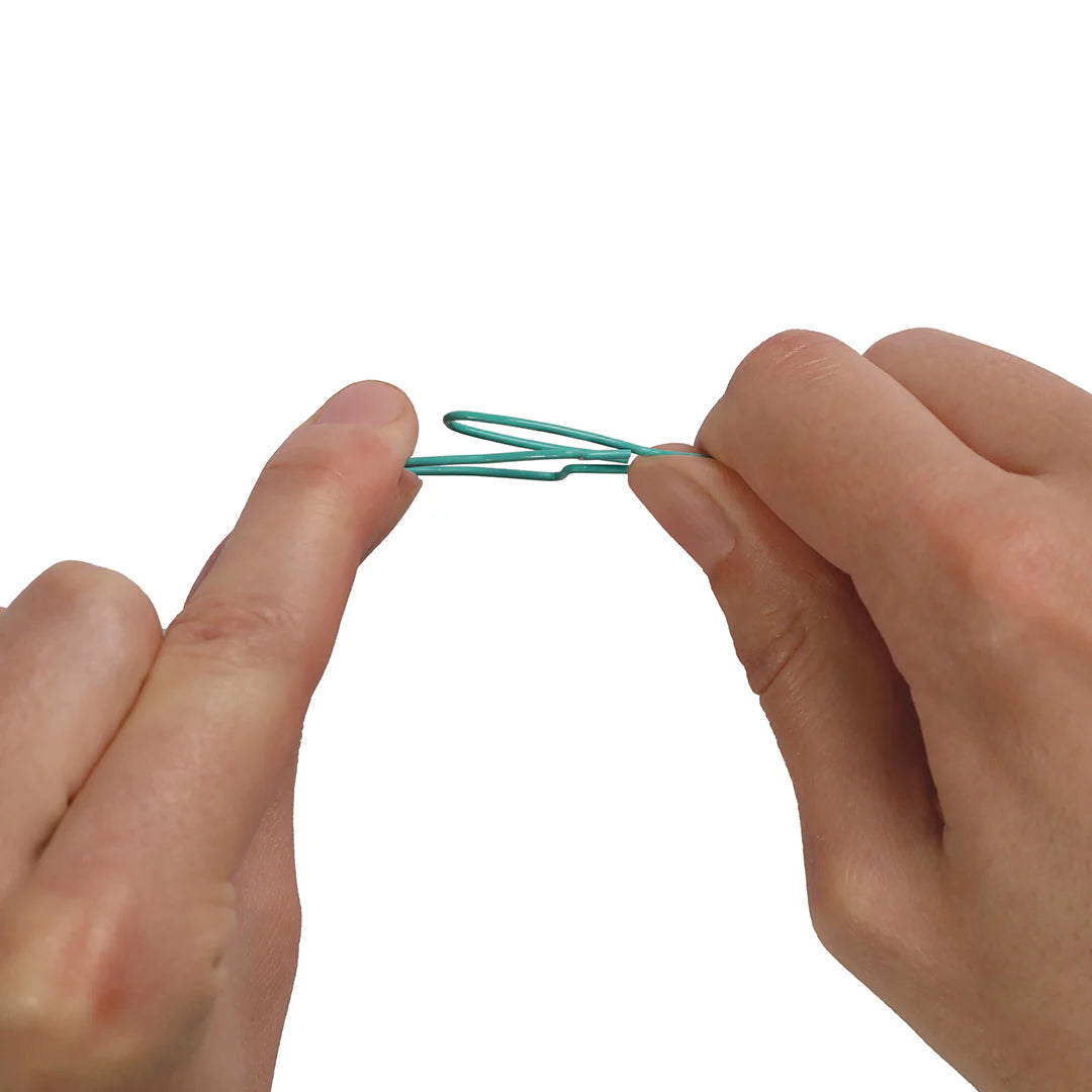 Sardine Paper Clips