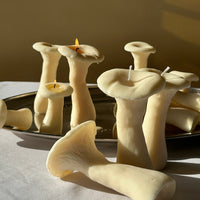 Mushroom Candle Set - 3 Pack