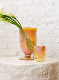Gone Glass in Cosmo
