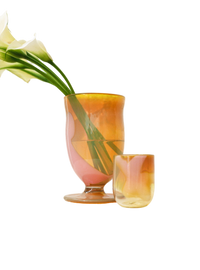 Gone Glass in Cosmo