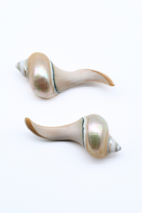 Seashell Chopstick Rest