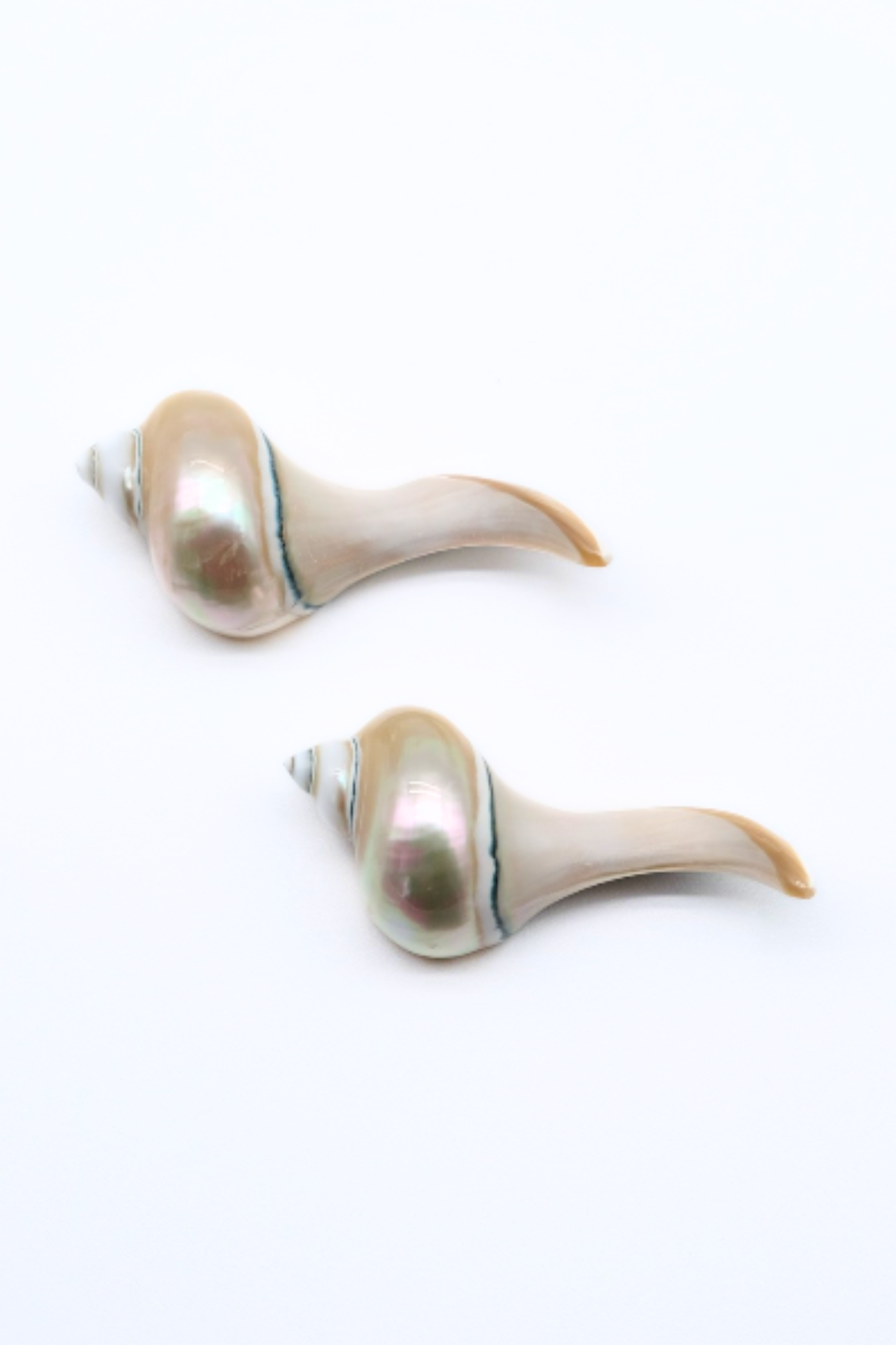 Seashell Chopstick Rest
