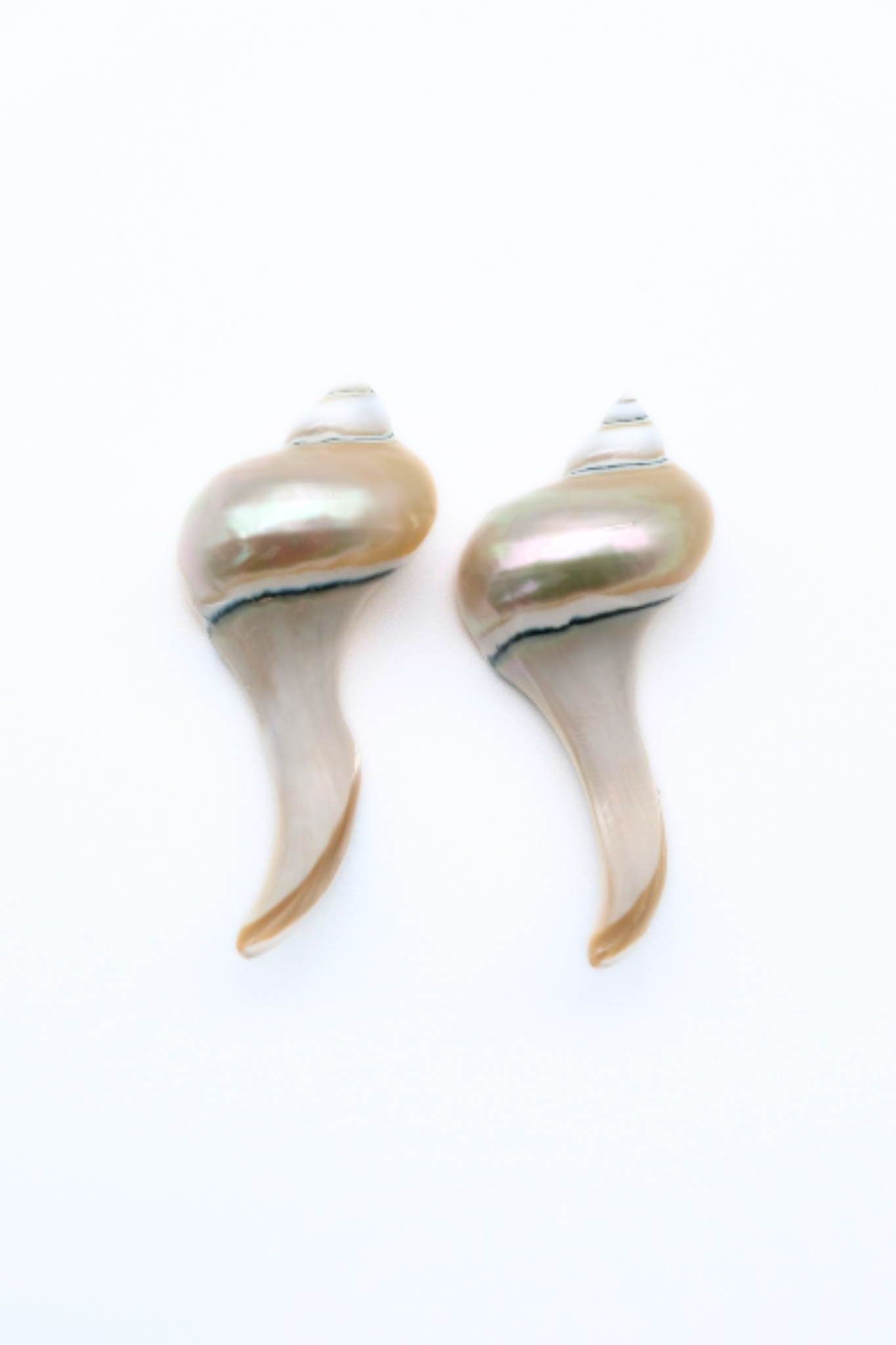 Seashell Chopstick Rest