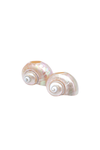Seashell Napkin Rings, Set of 4