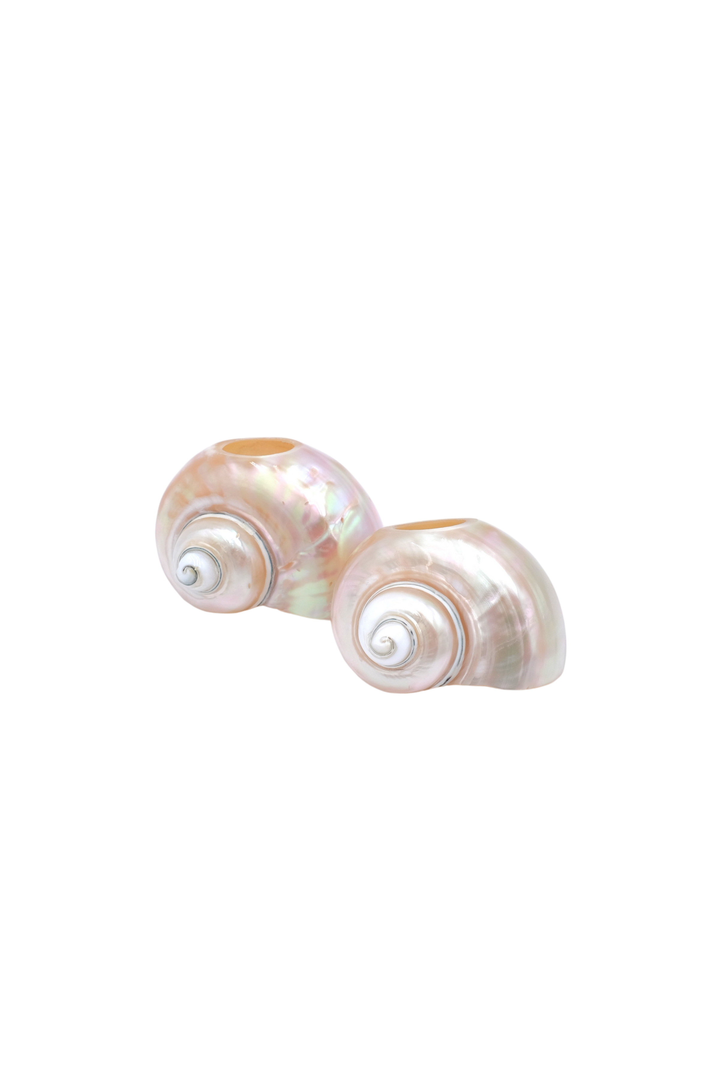 Seashell Napkin Rings, Set of 4