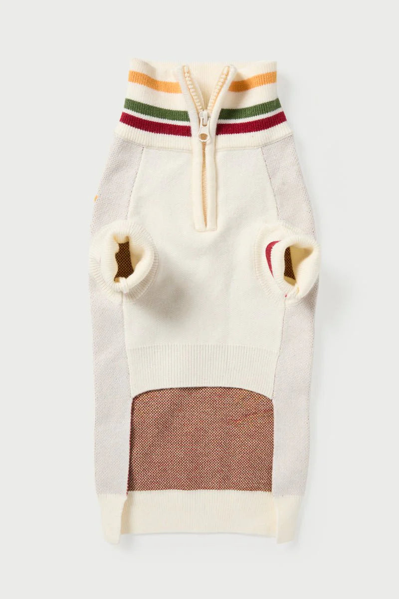 Ski Jumper