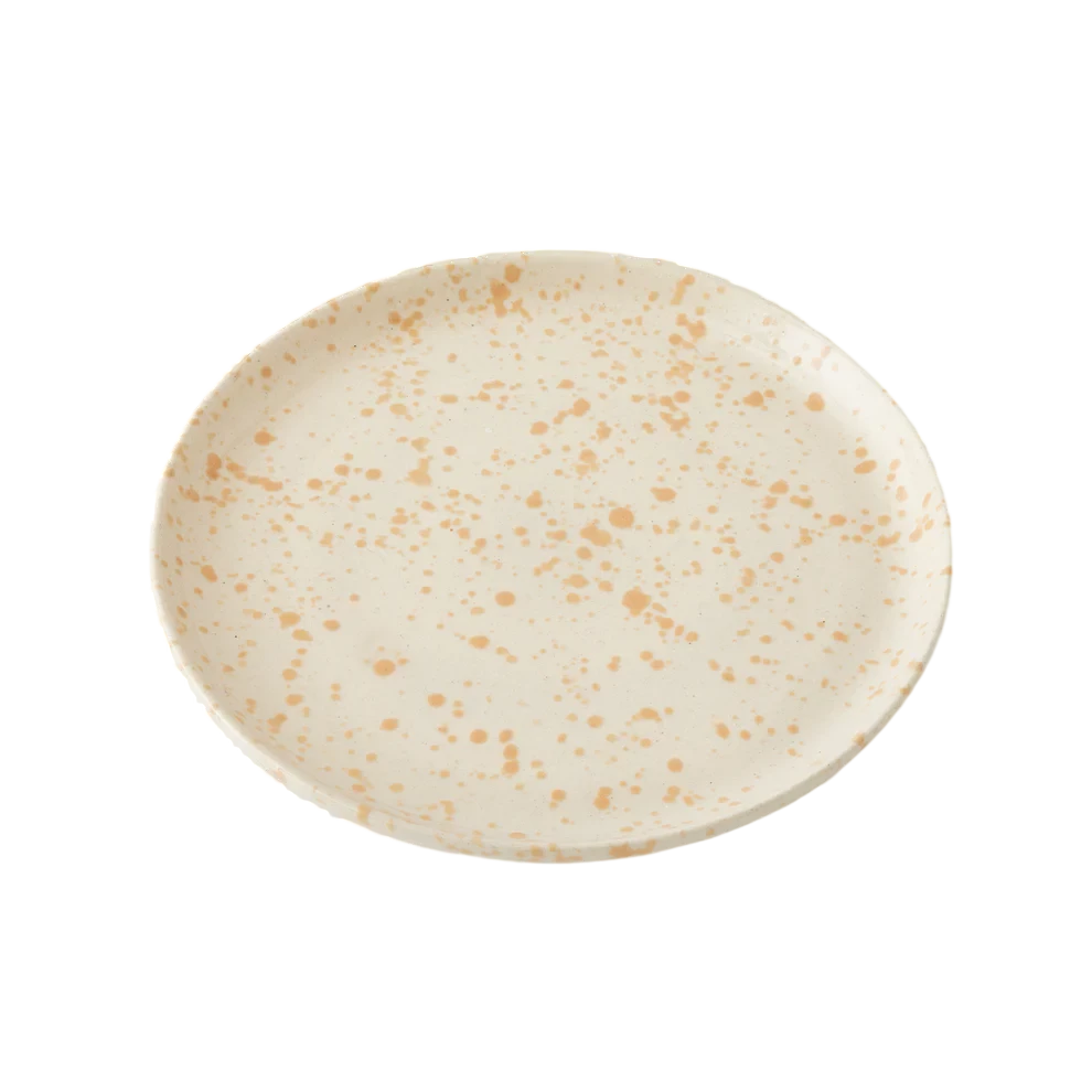 Splatterware Plates (Set of 4)