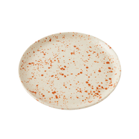 Splatterware Plates (Set of 4)