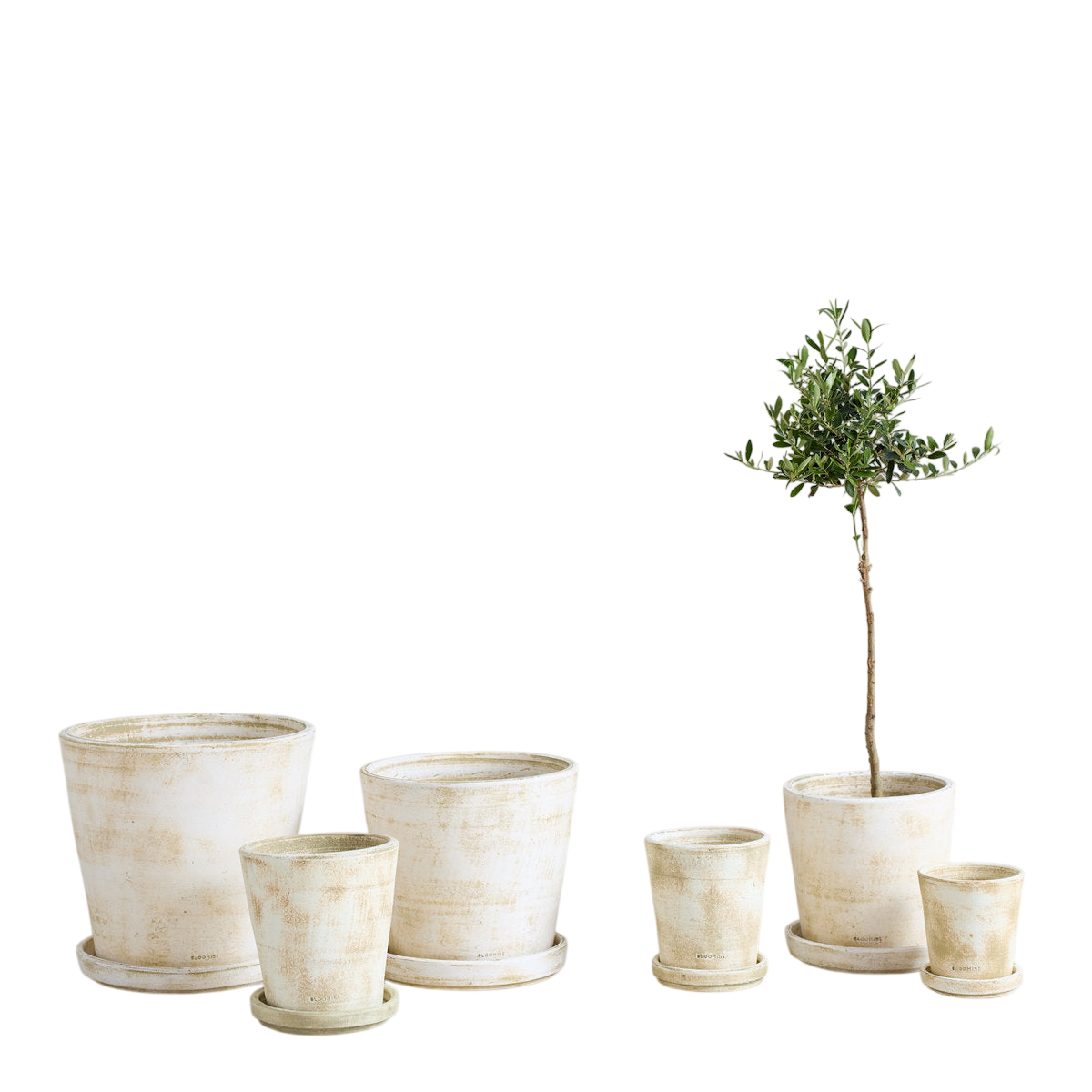 Basic Planter, White Patina