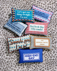 Sounds Gay Needlepoint Pillow