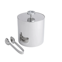 Striations Ice Bucket with Tongs