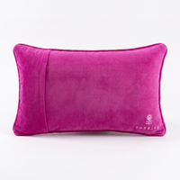 Sweata Weatha Needlepoint Pillow