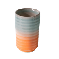 Ombre Ribbed Tumbler, Sky Blue coral | 400 ml