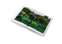 The Avant Gardens