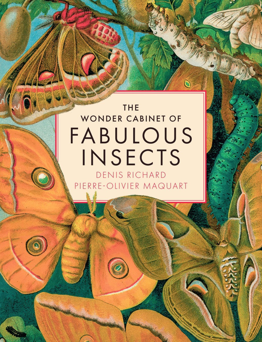 The Wonder Cabinet of Famous Insects