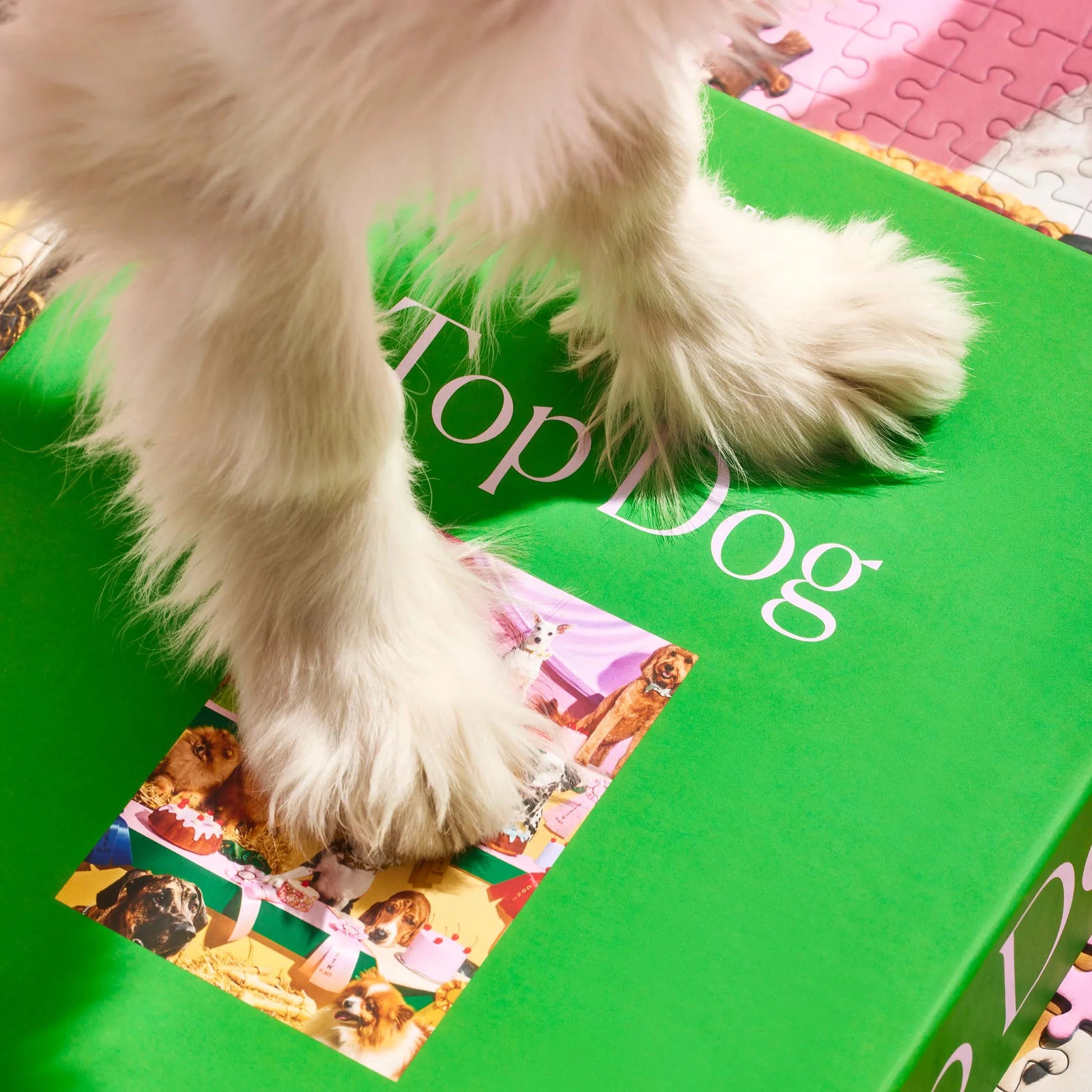 Top Dog 1000 Piece Puzzle