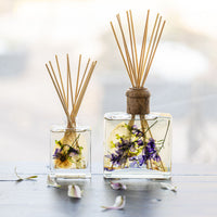 Accent Botanical Reed Diffuser - Vanilla Rain