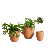 Big Cuff Planter
