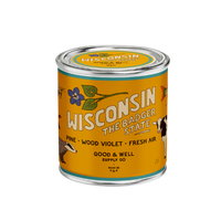 Wisconsin State Candle