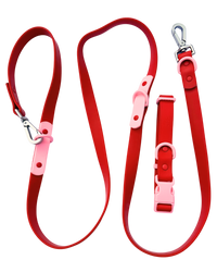 Fritz Collar + Leash Walk Set