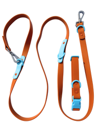 Fritz Collar + Leash Walk Set