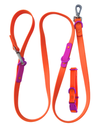 Fritz Collar + Leash Walk Set