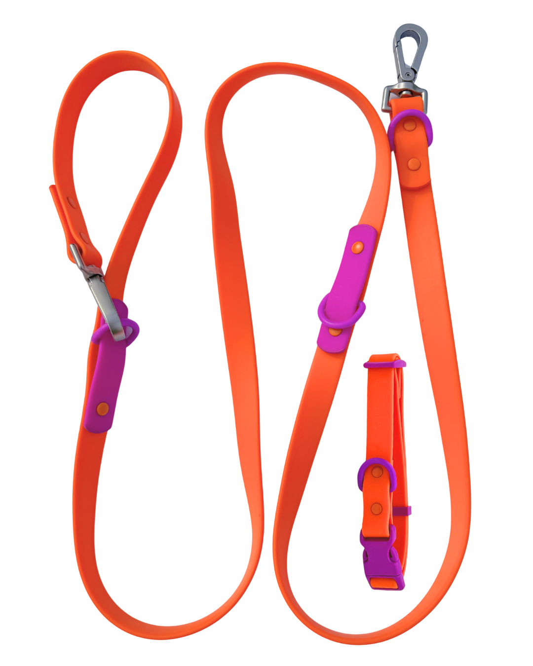 Fritz Collar + Leash Walk Set
